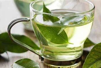 فوائد الريحان ! اكتشفوا قوة هذا النبات الصغير ذات المفعول السحري